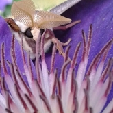 Cropped 20170530 143436