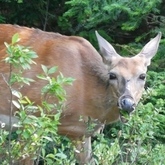 Cropped p1020068